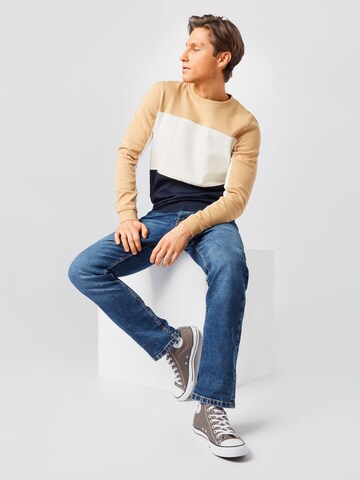 TOM TAILOR DENIM Sweatshirt in Braun