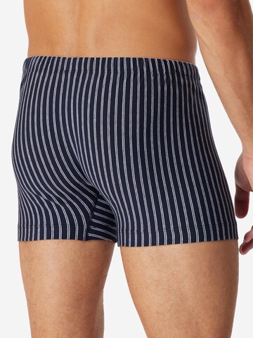 SCHIESSER Boxer shorts '95/5 Essentials Organic Cotton' in Blue