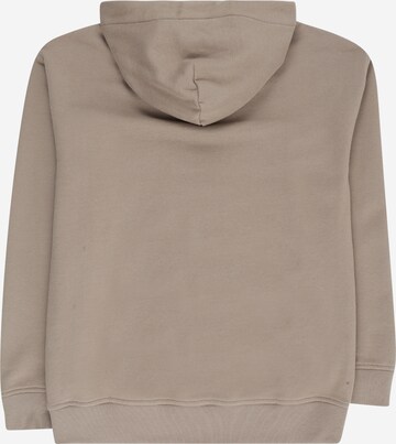 Abercrombie & Fitch Sweatshirt i beige