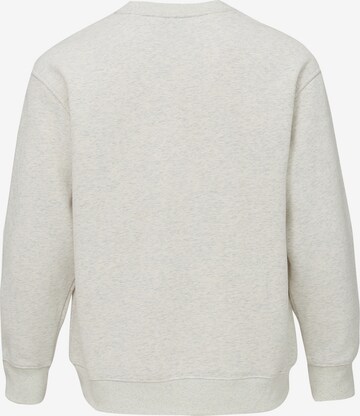 Forplay Sweatshirt 'Frazer' in Grey