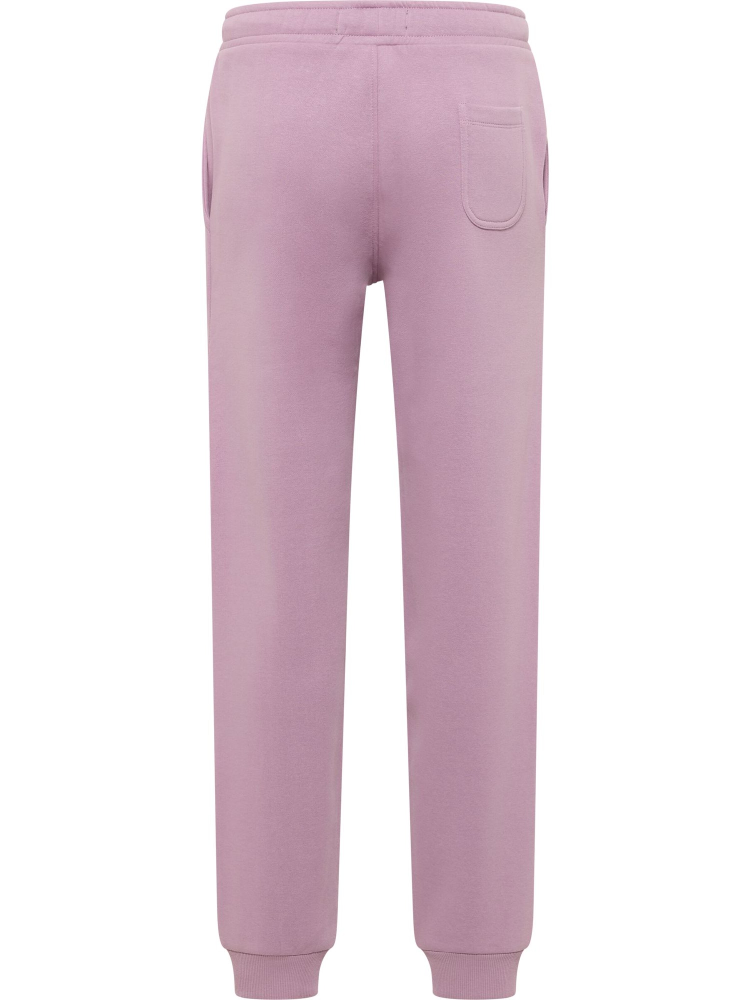 Bruno Banani Regular Trousers ' FREDERICK ' in Purple