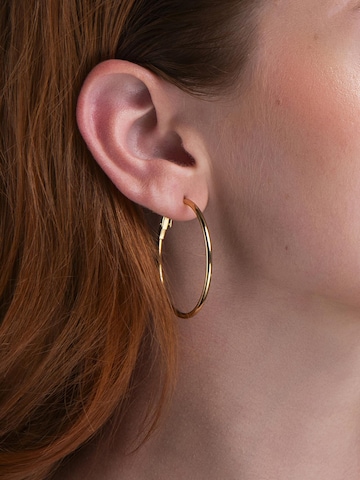 Boucles d'oreilles 'Tiny Hoops' Amberz en or