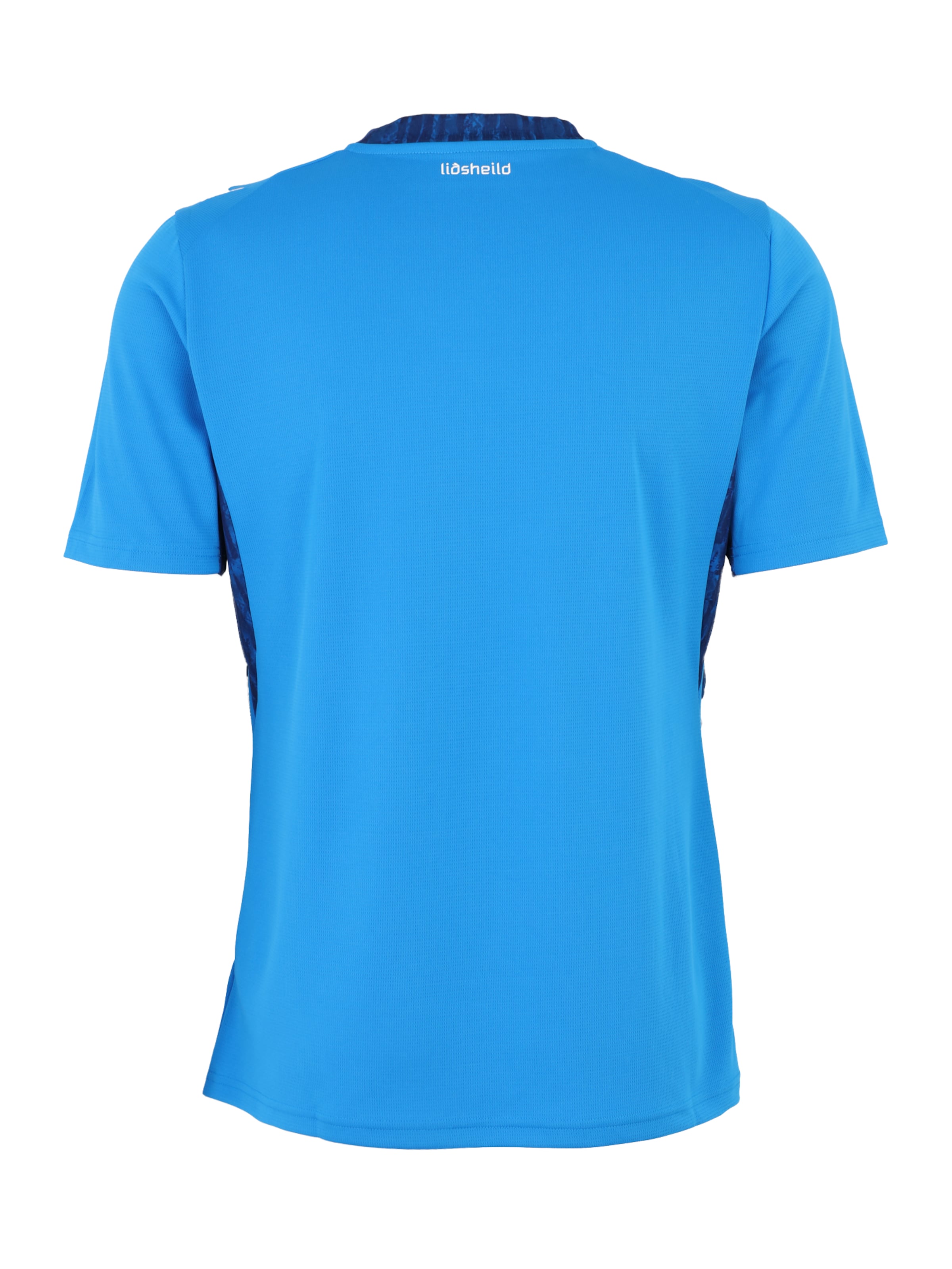 PUMA Jersey 'Island 2026' in Blue