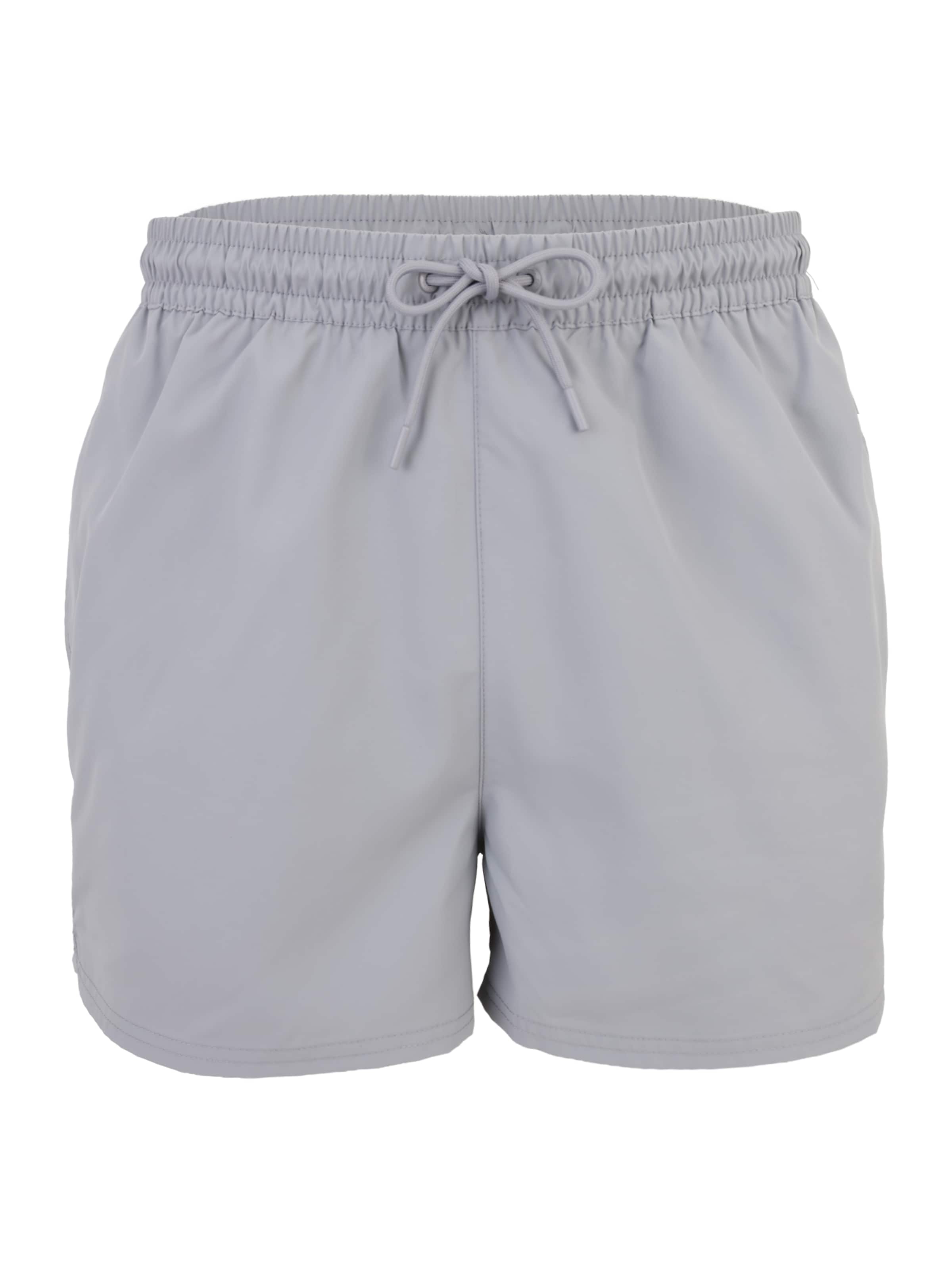 Calvin Klein Swimwear Badeshorts in Grau: Vorderseite