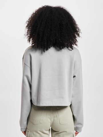 ROCAWEAR Sweatshirt in Grey