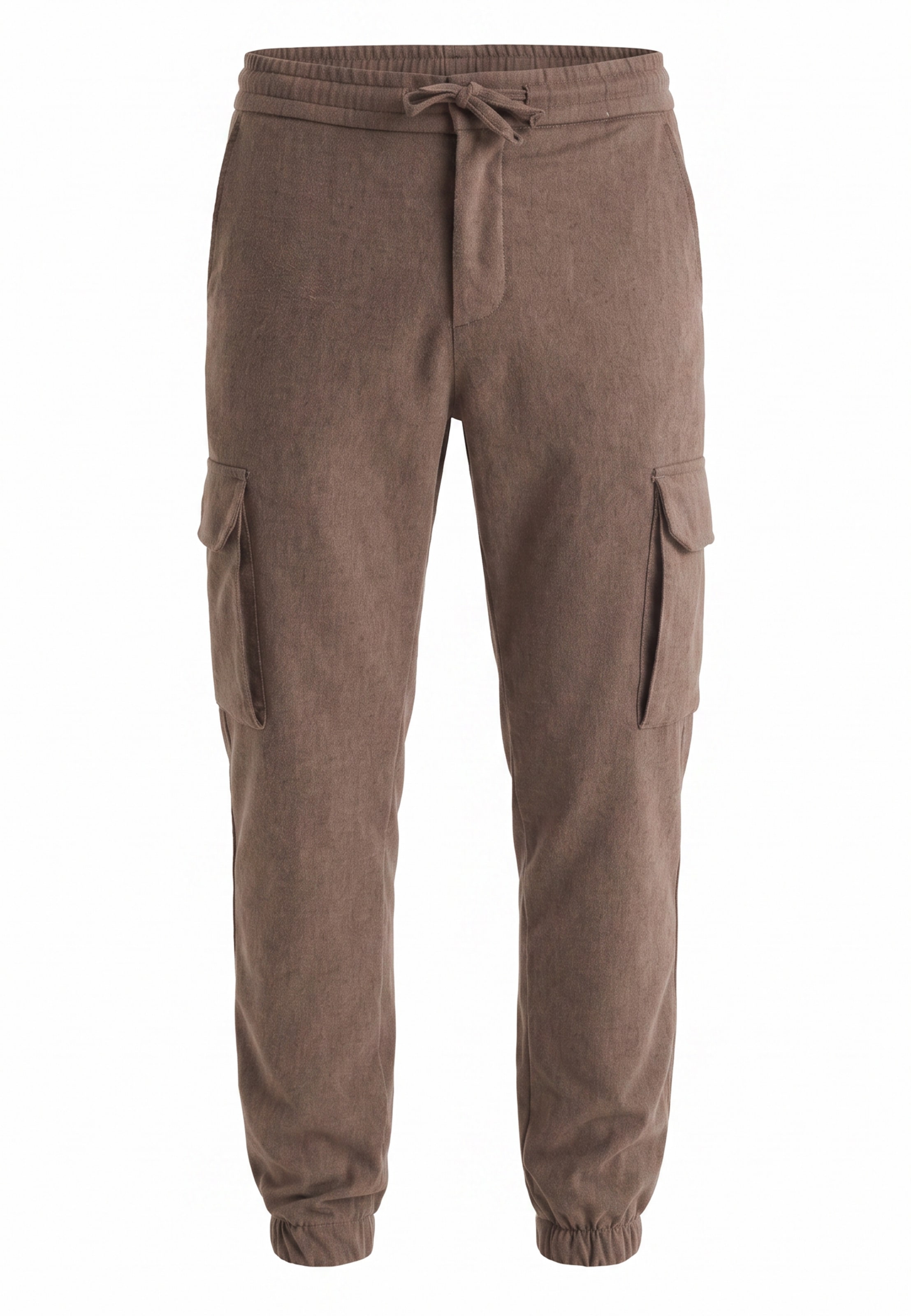 Felix Hardy Regular Pants in Brown: front