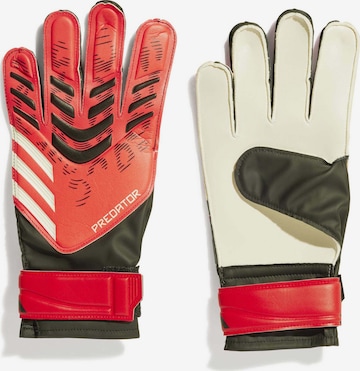 ADIDAS PERFORMANCE Athletic Gloves 'Predator Pro' in Red: front