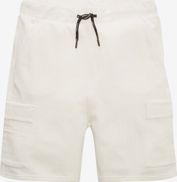 TOM TAILOR DENIM Cargo trousers in White: front