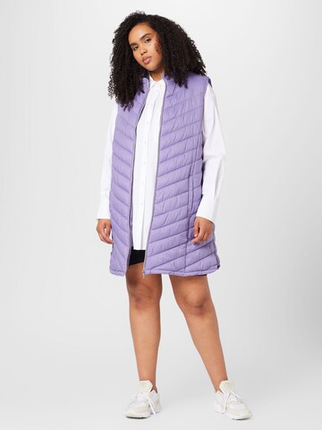 Gilet di Fransa Curve in lilla