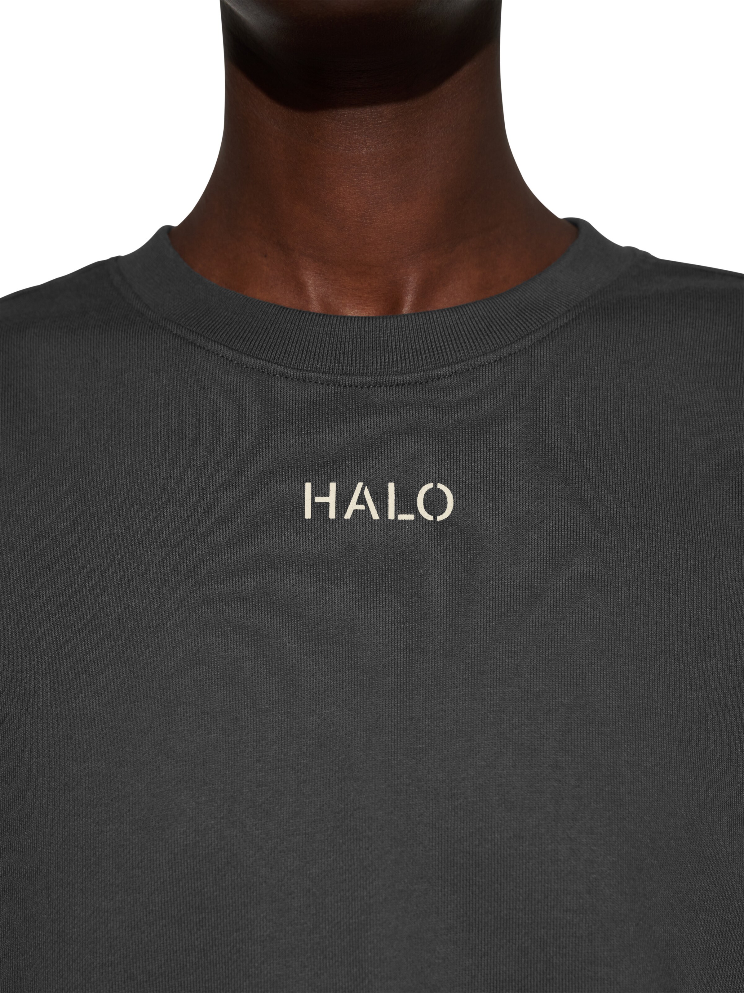 HALO Sweatshirt 'Duty' in Grey