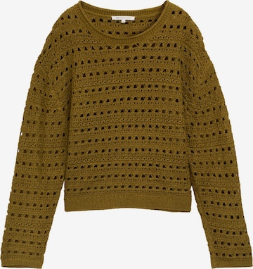 TOM TAILOR DENIM Pullover in Grün: Vorderseite