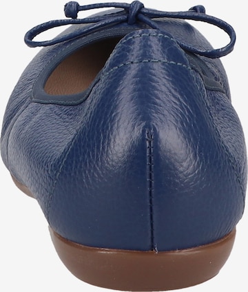 Wonders Ballet Flats in Blue