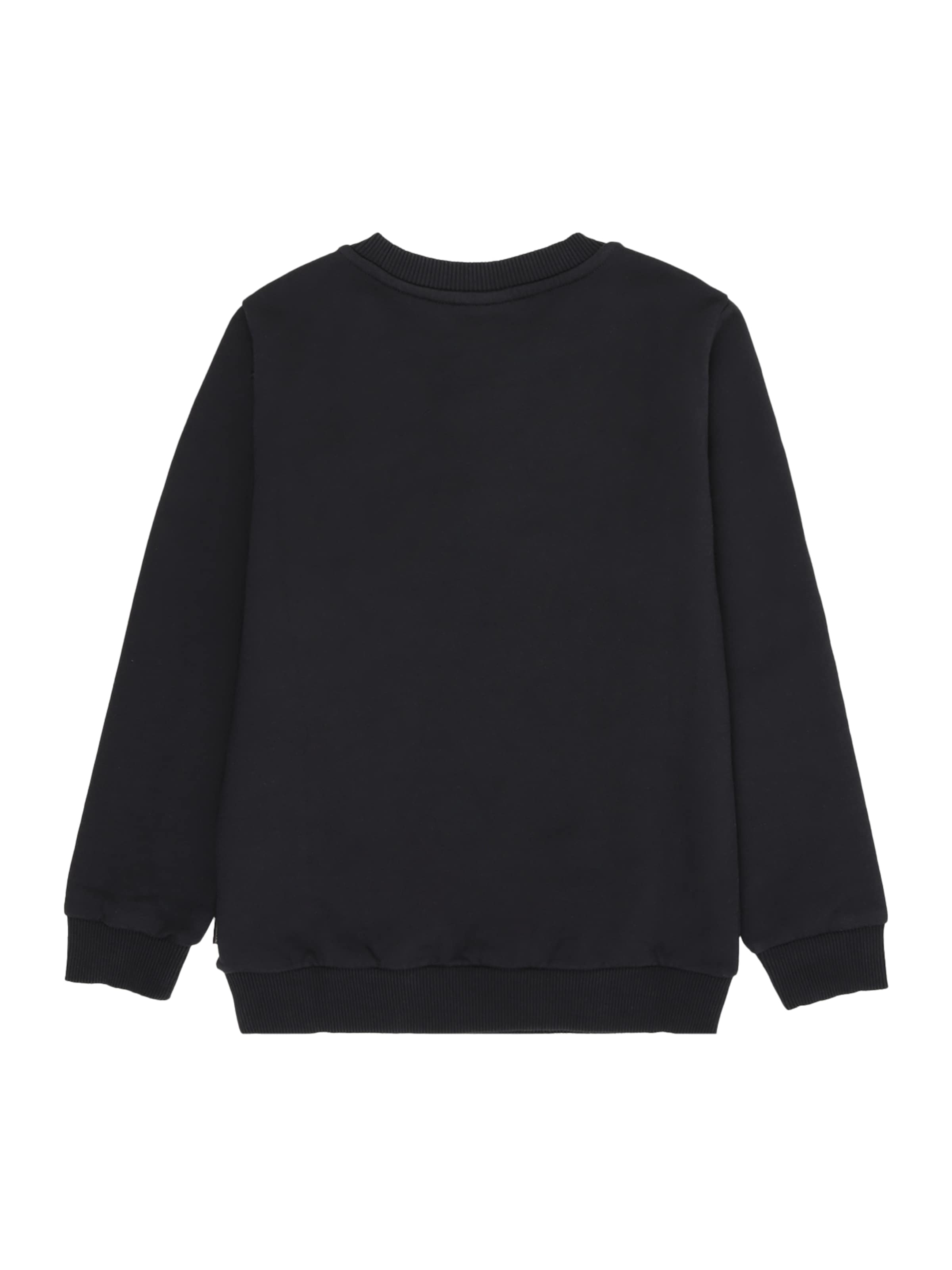 NAPAPIJRI Свитшот 'Balis C 2' в Черный