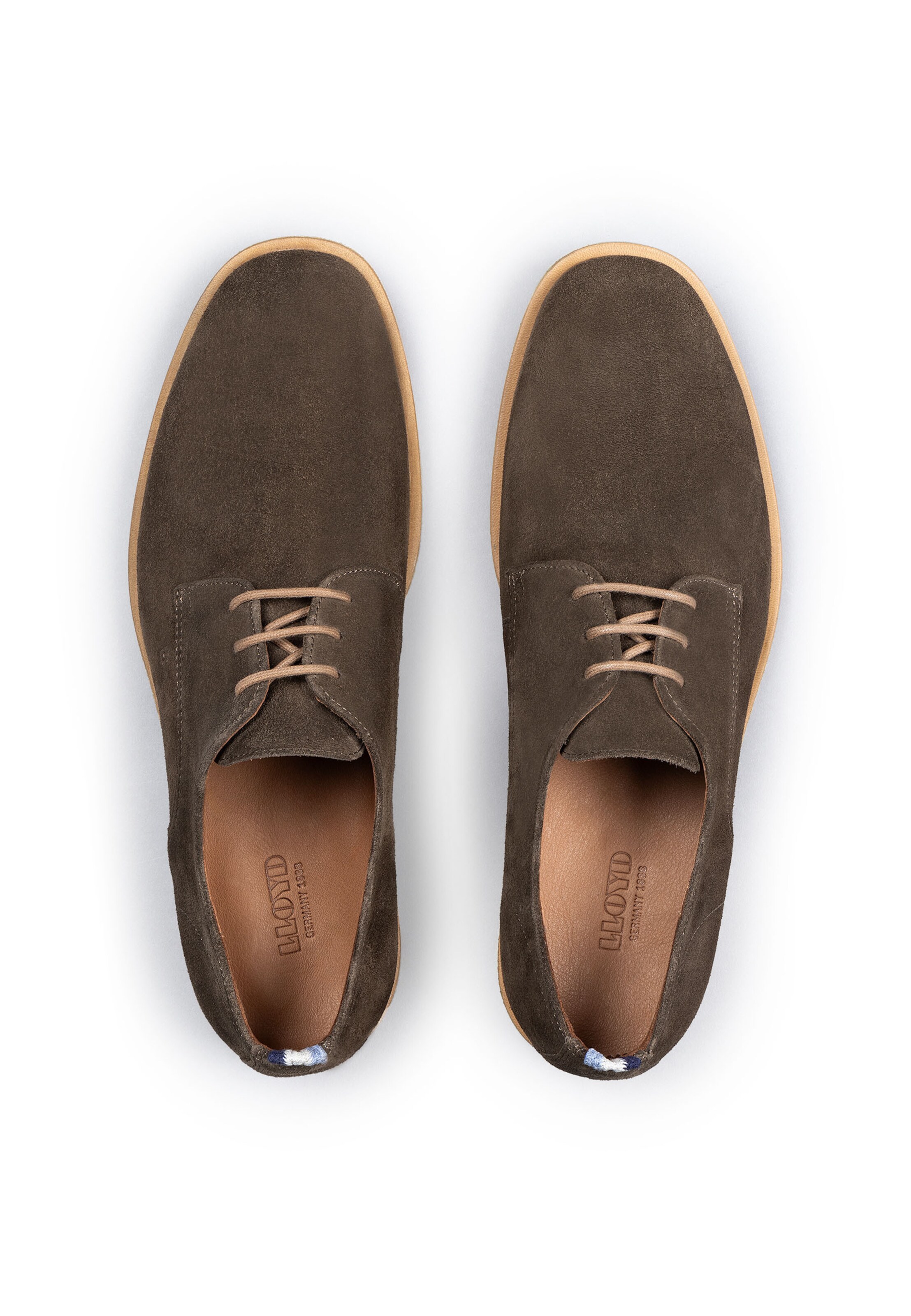 Scarpa stringata 'Liman' di LLOYD in marrone