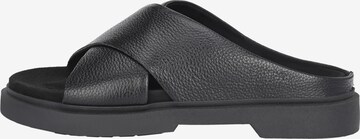 Apple of Eden Mules ' PRIM ' in Black