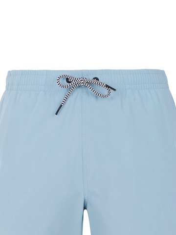 PROTEST Board Shorts 'PRTYESSINE' in Blue