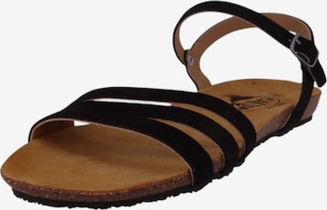 Sandales à lanières Plakton en noir : devant