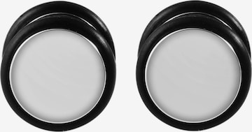 Akzent Earrings 'Camilo, Ionenplattierung' in Silver: front