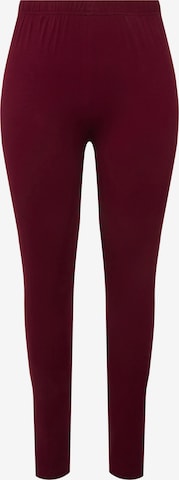 Ulla Popken Leggings in Red: front