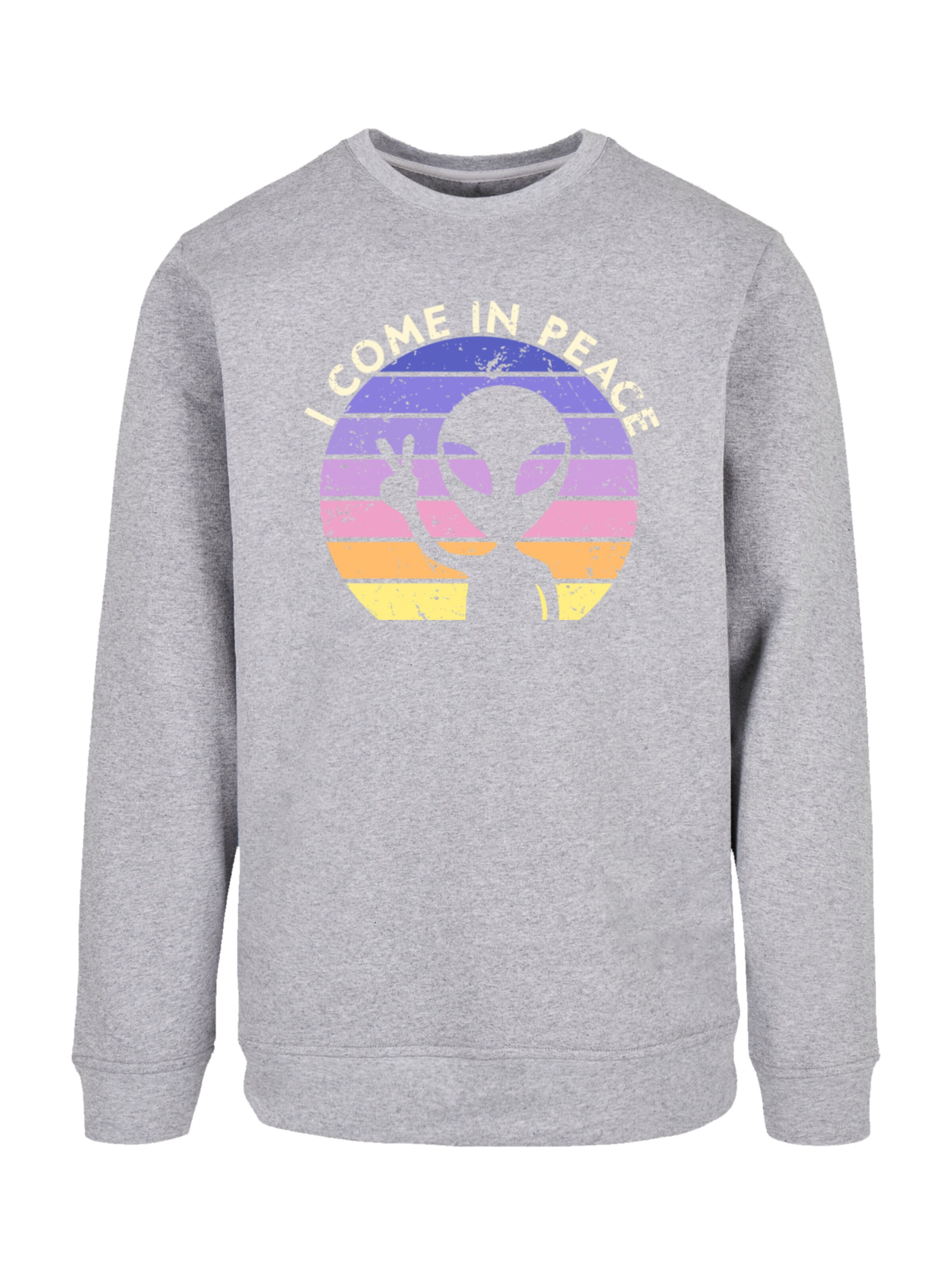 F4NT4STIC Sweatshirt 'Alien Peace Sunset' in Grijs: voorkant