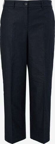 TRIANGLE Regular Pleated Pants in Blue: front