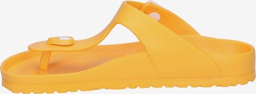 Westland T-Bar Sandals 'Martinique 02' in Yellow