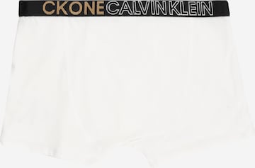 pilka Calvin Klein Underwear Apatinės kelnaitės