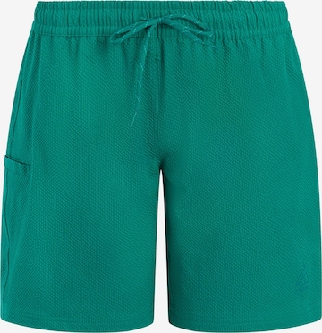 PROTEST Swimming Trunks 'PRTAgaat 25' in Green: front