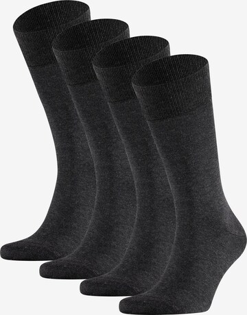 FALKE Socken in Grau: predná strana