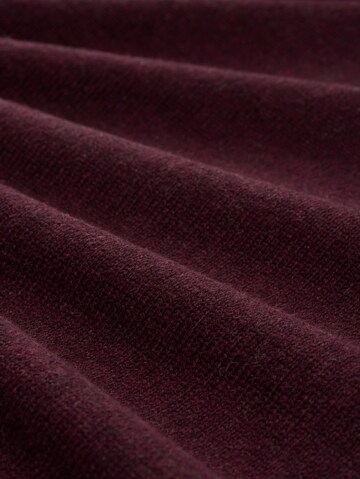 TOM TAILOR Pullover in Rot