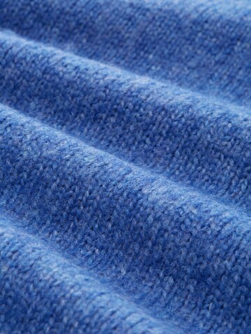 TOM TAILOR DENIM Trui in Blauw