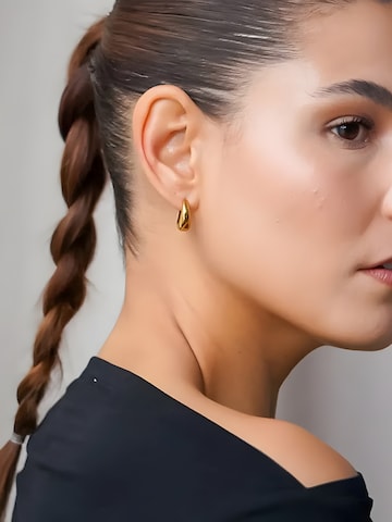 hiBALI Earrings 'Bold Curvy' in Gold