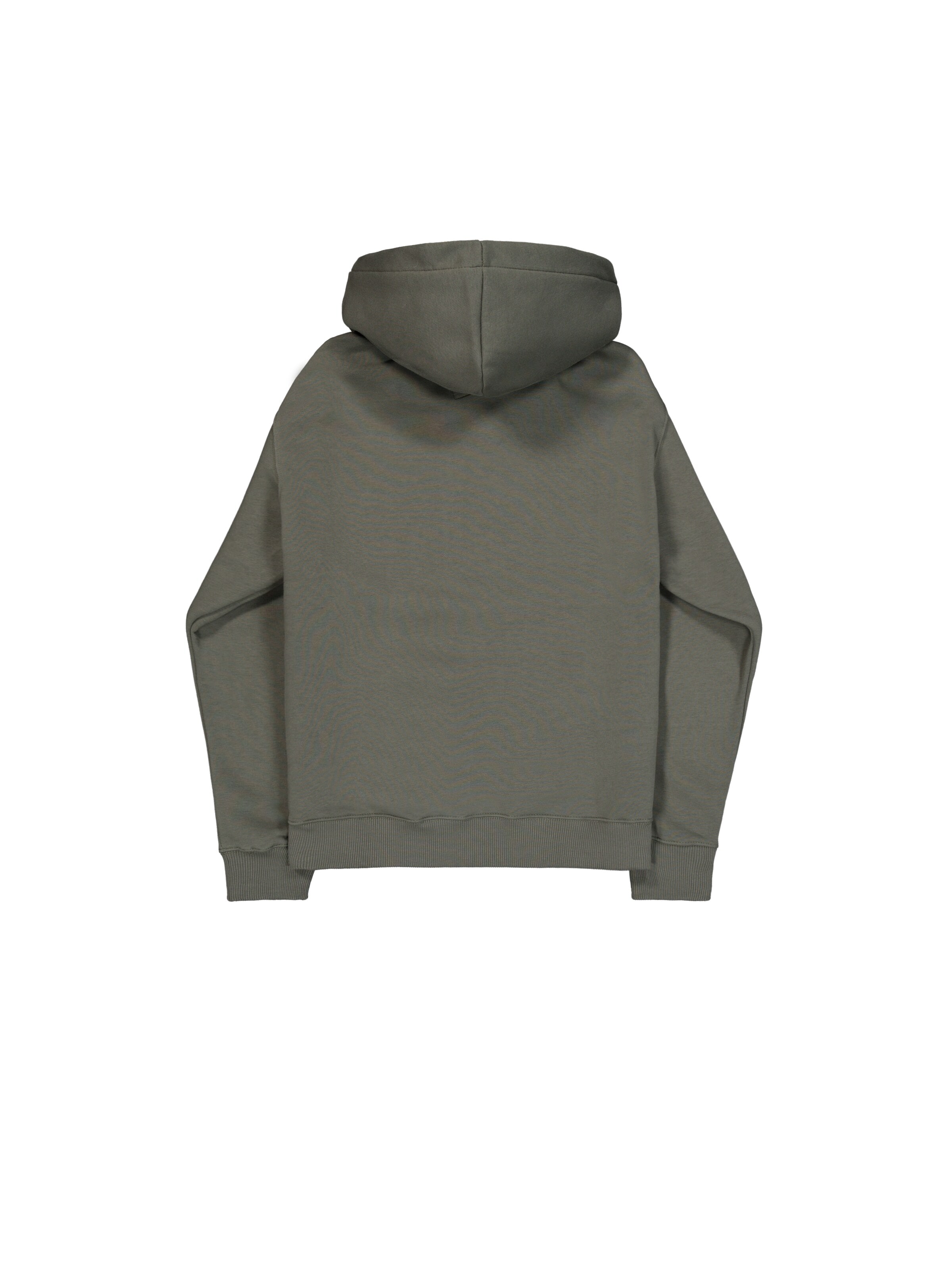 ALPHA INDUSTRIES Sweatshirt i grøn
