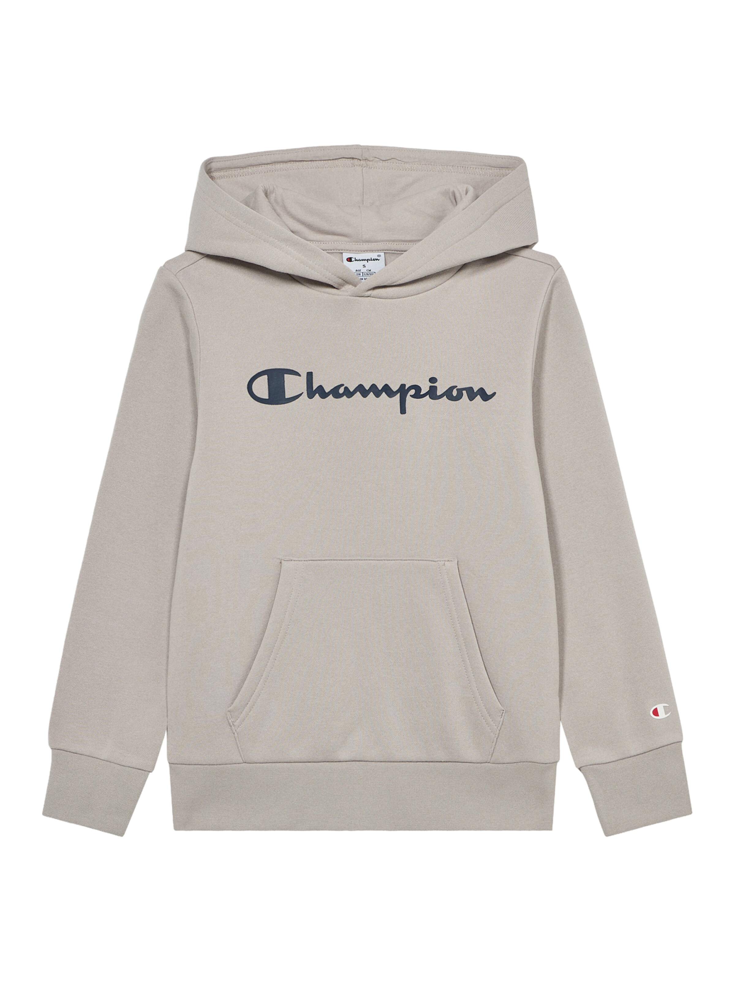 pelēks Champion Authentic Athletic Apparel Sportisks džemperis: no priekšpuses