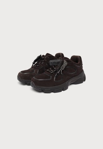 GUESS - Sapatilhas baixas em castanho