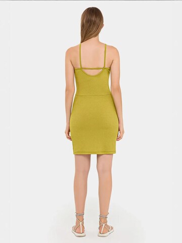 Hiccup Kleid in Grün