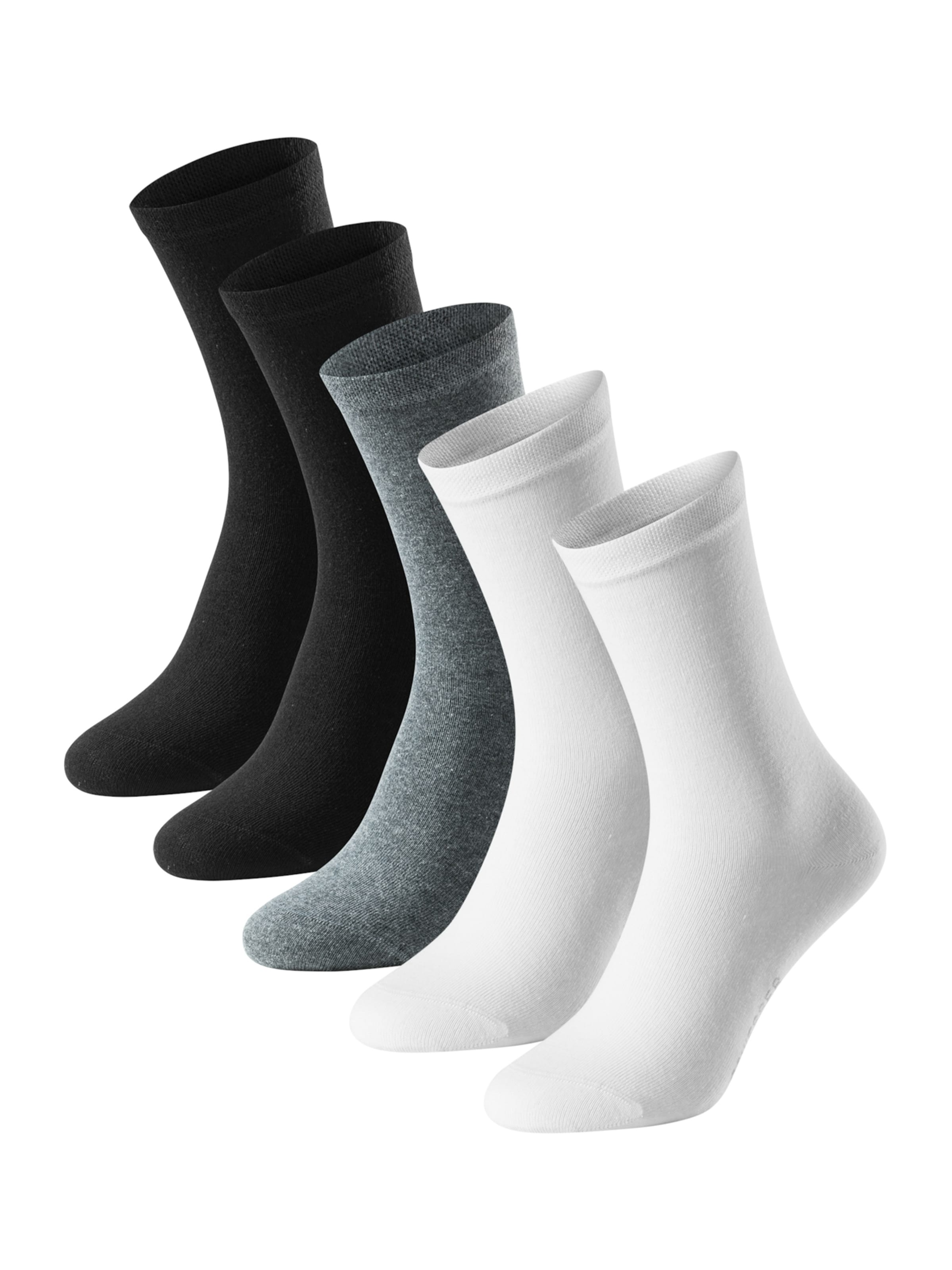 SCHIESSER Socks ' Bluebird ' in Grey: front