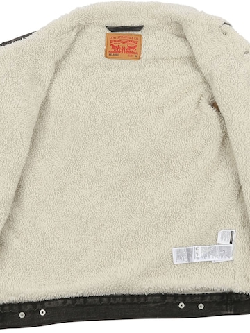 LEVI'S ® Winter Coat 'Sherpa' in Grey
