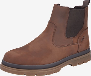 Chelsea Boots