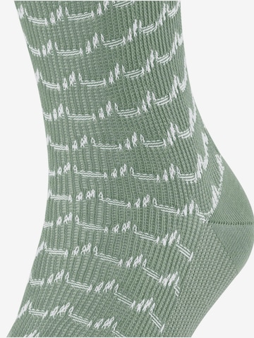 FALKE Socks 'Sea Rock' in Green: front