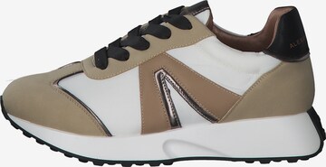 Alexander Smith Sneakers in Mixed colors