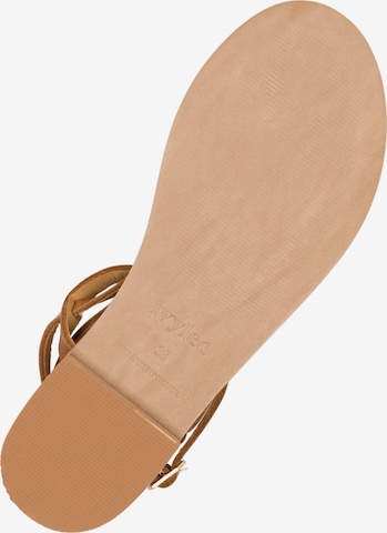 Ivylee Copenhagen T-Bar Sandals 'Olive Escuvado' in Brown