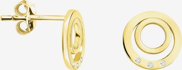 Sofia Milani Ohrringe 'Circles' in Gold: Vorderseite
