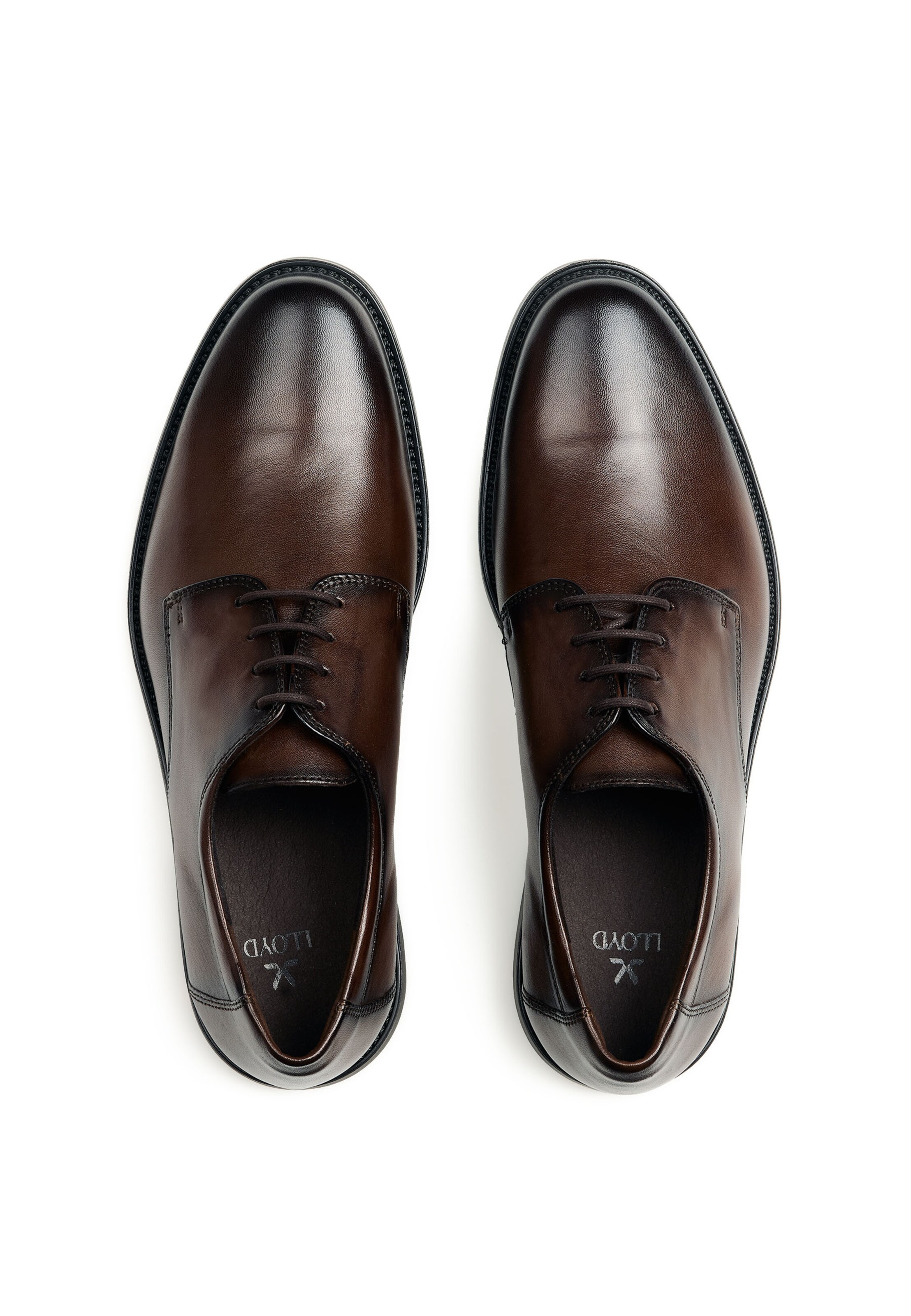 Chaussure à lacets LLOYD en marron