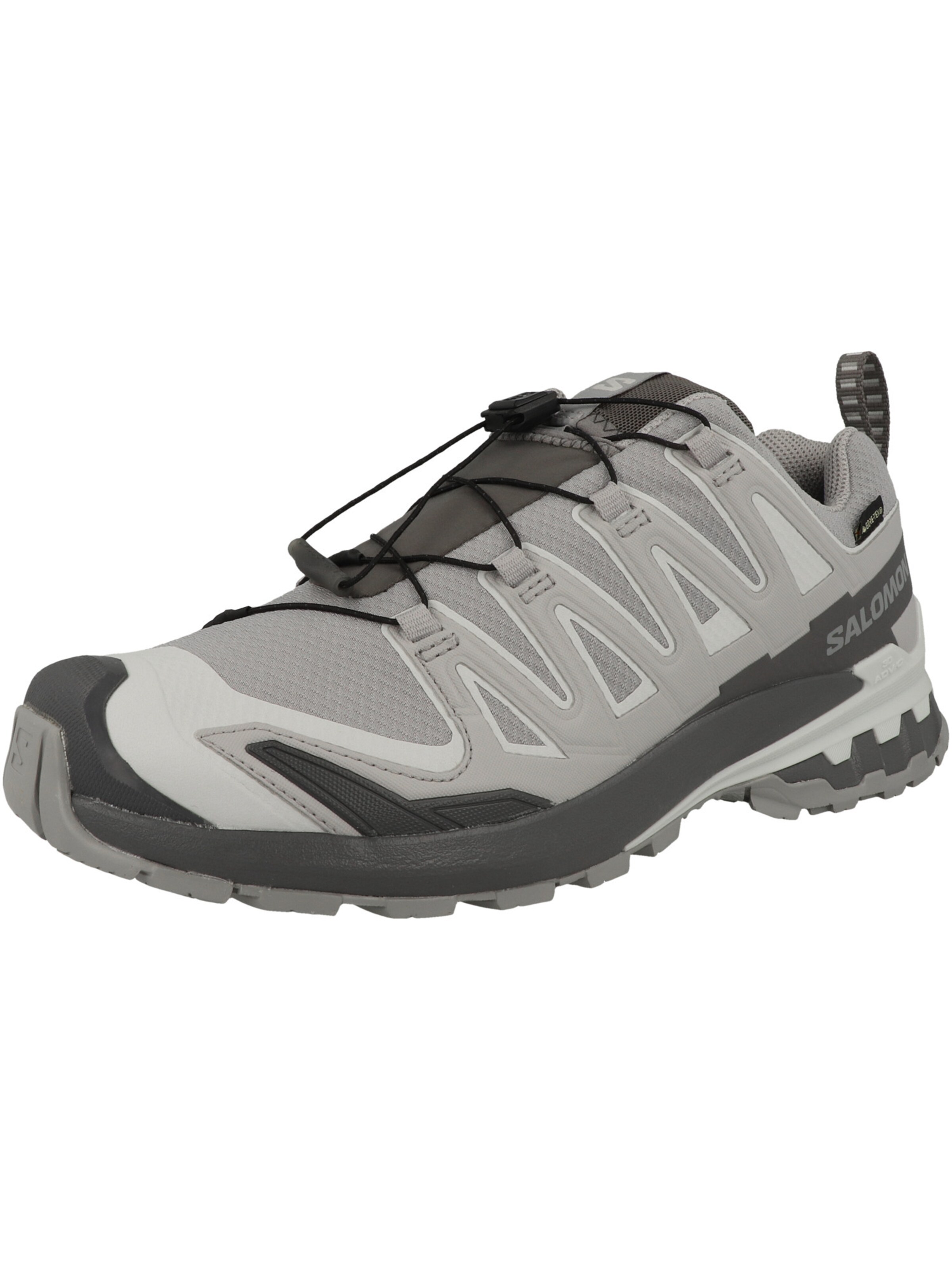 Chaussure basse 'XA Pro 3D V9' SALOMON en gris : devant
