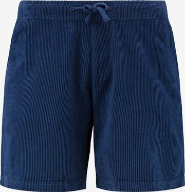 Shiwi Regular Shorts 'Rio' in Blau: predná strana