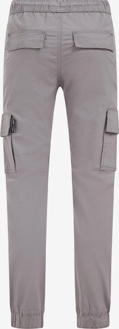 Tapered Pantaloni di WE Fashion in grigio