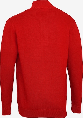 U.S. POLO ASSN. Pullover in Rot