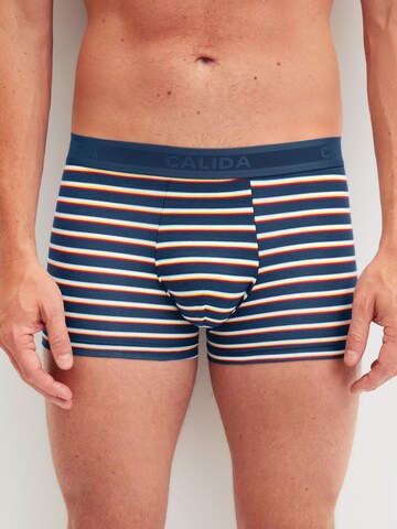 CALIDA Boxer shorts 'Focus Trend' in Blue