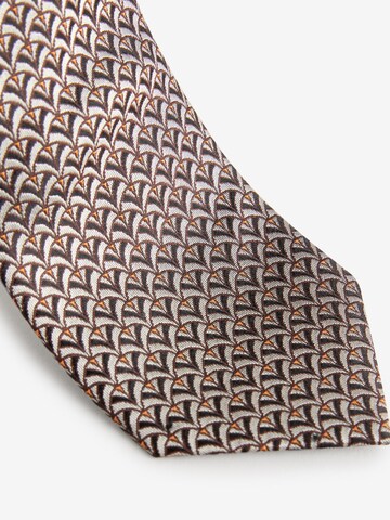 Next Stropdas in Bruin